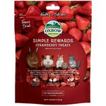 Best Chinchilla Treats
