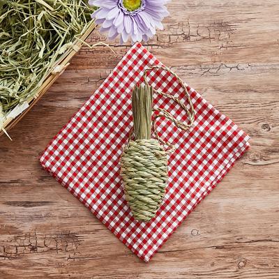 Show full view: Oxbow Timothy Club Carrot Small Animal Treat slide 3 of 6