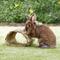 Show in main carousel: Oxbow Timothy Club Tunnel Small Animal Hideout slide 2 of 3