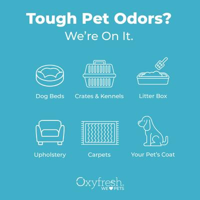 Show full view: Oxyfresh All Purpose Dog & Cat Deodorizer, 16-fl oz bottle slide 9 of 11