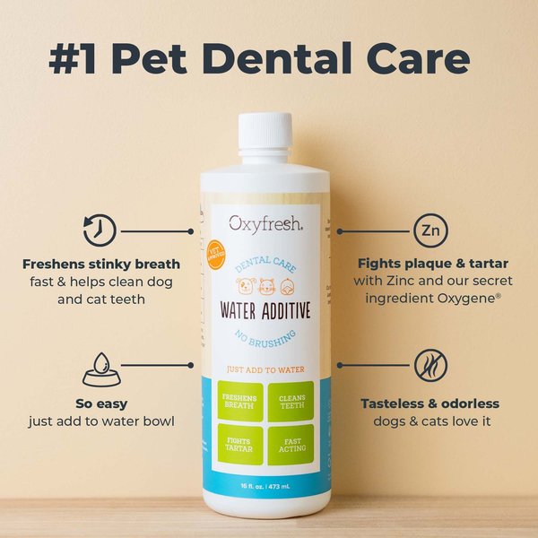 Show full view: Oxyfresh Premium Pet Care Solution Cat & Dog Dental Water Additive, 1-gal bottle slide 2 of 12