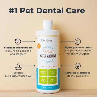 Show full view: Oxyfresh Premium Pet Care Solution Cat & Dog Dental Water Additive, 1-gal bottle slide 3 of 13
