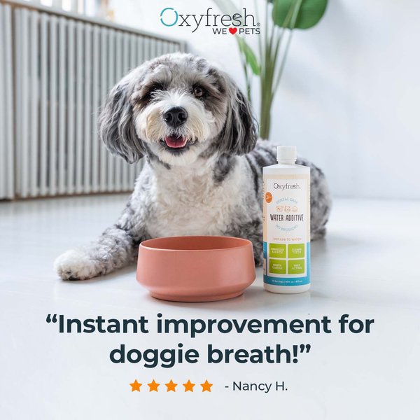 Show full view: Oxyfresh Premium Pet Care Solution Cat & Dog Dental Water Additive, 1-gal bottle slide 3 of 12