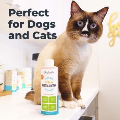 Show full view: Oxyfresh Premium Pet Care Solution Cat & Dog Dental Water Additive, 1-gal bottle slide 6 of 13