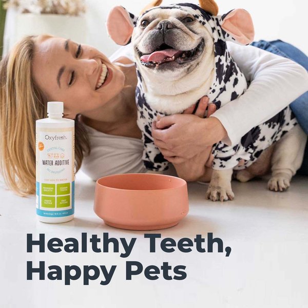 Show full view: Oxyfresh Premium Pet Care Solution Cat & Dog Dental Water Additive, 1-gal bottle slide 7 of 12