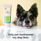 Show in main carousel: Oxyfresh Premium Vet Formulated Plaque & Tartar Cat & Dog Toothpaste, 4-fl oz bottle slide 4 of 13