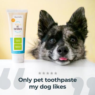 Show full view: Oxyfresh Premium Vet Formulated Plaque & Tartar Cat & Dog Toothpaste, 4-fl oz bottle slide 4 of 13