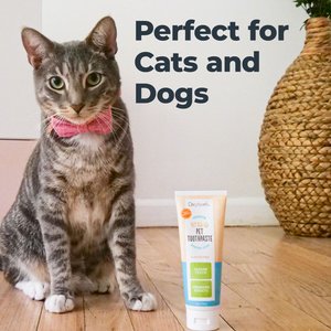 Oxyfresh Premium Vet Formulated Plaque & Tartar Dog & Cat Toothpaste with BPA-Free Silicone Brush, 4-fl oz bottle