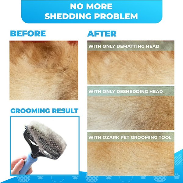 Show full view: Ozark Pet Dog & Cat Brush, Blue, Small slide 6 of 9