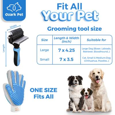 Show full view: Ozark Pet Dog & Cat Grooming Kit, Blue, Large slide 6 of 7