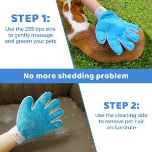 Ozark Pet Dog & Cat Grooming Kit, Blue, Small