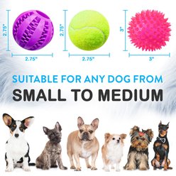 Pacific Pups Rescue Ball Dog Toy Variety Pack, 6 count slide 2 of 9