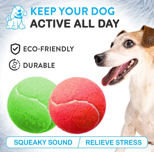 Pacific Pups Rescue Ball Dog Toy Variety Pack, 6 count