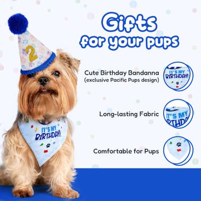 Pacific Pups Rescue Dog Birthday Party Set