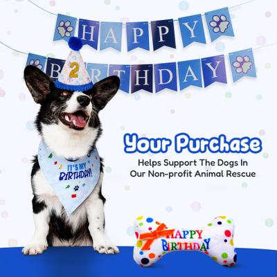 Pacific Pups Rescue Dog Birthday Party Set