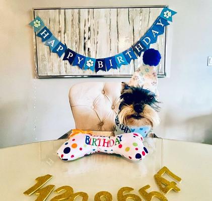 Show full view: Pacific Pups Rescue Dog Birthday Party Set, Blue Sparkly Paws, Small slide 9 of 10
