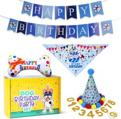 Pacific Pups Rescue Dog Birthday Party Set, Blue Stars, Medium