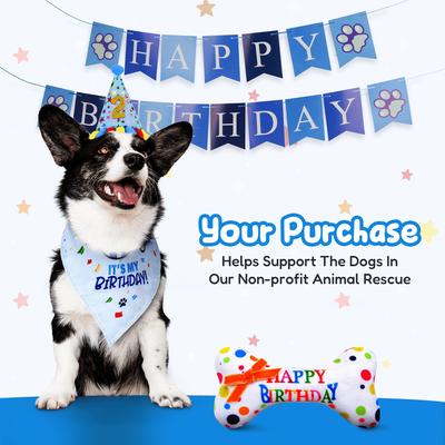 Show full view: Pacific Pups Rescue Dog Birthday Party Set, Blue Stars, Medium slide 3 of 10