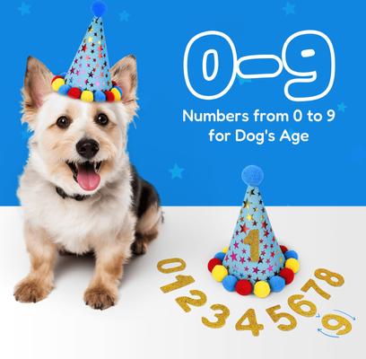 Show full view: Pacific Pups Rescue Dog Birthday Party Set, Blue Stars, Medium slide 8 of 10