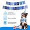 Show in main carousel: Pacific Pups Rescue Dog Birthday Party Set, Blue Stars, Medium slide 6 of 10