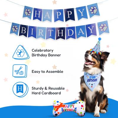 Show full view: Pacific Pups Rescue Dog Birthday Party Set, Blue Stars, Medium slide 6 of 10