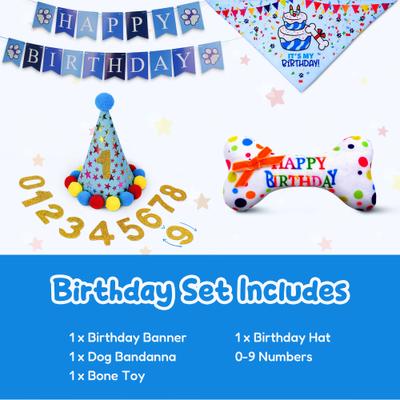 Show full view: Pacific Pups Rescue Dog Birthday Party Set, Blue Stars, Medium slide 2 of 10
