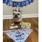 Show in main carousel: Pacific Pups Rescue Dog Birthday Party Set, Blue Stars, Medium slide 9 of 10