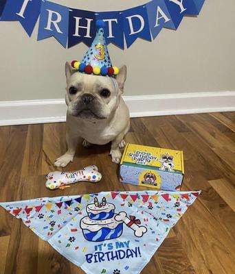 Show full view: Pacific Pups Rescue Dog Birthday Party Set, Blue Stars, Medium slide 9 of 10