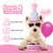 Show in main carousel: Pacific Pups Rescue Dog Birthday Party Set, Pink Sparkly Paws, Small slide 7 of 9