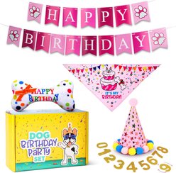 Pacific Pups Rescue Dog Birthday Party Set, Pink Stars, Medium