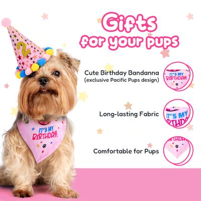 Show full view: Pacific Pups Rescue Dog Birthday Party Set, Pink Stars, Medium slide 7 of 9