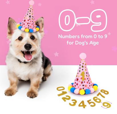 Show full view: Pacific Pups Rescue Dog Birthday Party Set, Pink Stars, Medium slide 8 of 9