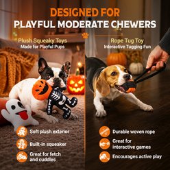 Pacific Pups Rescue Halloween Plush Ghost & Jack 'O Lantern with Spooky Rope Variety Pack Dog Toy, 3 count slide 2 of 7