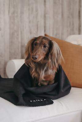 Show full view: PAIKKA Recovery Dog Blanket, Grey slide 4 of 5