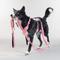 Show in main carousel: PAIKKA Reflective Visibility Dog Leash, Pink, 1.5x180-cm slide 1 of 5