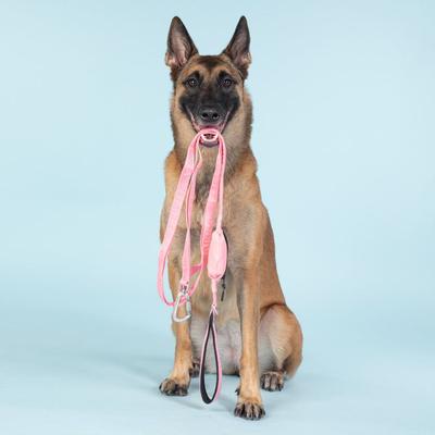 Show full view: PAIKKA Reflective Visibility Dog Leash, Pink, 1.5x180-cm slide 2 of 5