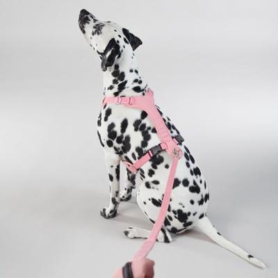 Show full view: PAIKKA Reflective Visibility Dog Leash, Pink, 1.5x180-cm slide 3 of 5