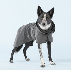 PAIKKA Visibility Dog Raincoat, 55 slide 1 of 9