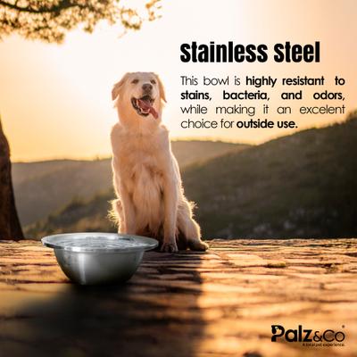 Show full view: Palz&Co Giant Stainless Steel Dog & Cat Bowl, 384-oz slide 4 of 5