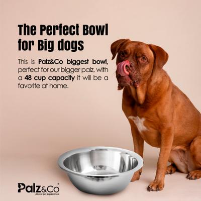 Show full view: Palz&Co Giant Stainless Steel Dog & Cat Bowl, 384-oz slide 3 of 5