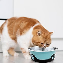 Palz&Co ThermoCool Insulated Stainless Steel Dog & Cat Bowl, Blue, 32-oz slide 2 of 8