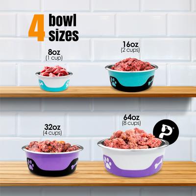 Show full view: Palz&Co ThermoCool Insulated Stainless Steel Dog & Cat Bowl, Blue, 32-oz slide 6 of 8