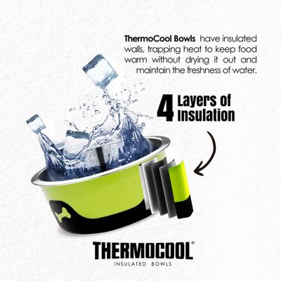 Show full view: Palz&Co ThermoCool Insulated Stainless Steel Dog & Cat Bowl, Green, 8-oz slide 4 of 8