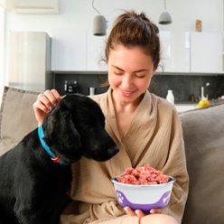 Palz&Co ThermoCool Insulated Stainless Steel Dog & Cat Bowl, Light Purple, 64-oz slide 2 of 8