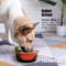 Show in main carousel: Palz&Co ThermoCool Insulated Stainless Steel Dog & Cat Bowl, Orange, 64-oz slide 3 of 8