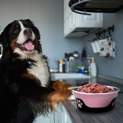 Show full view: Palz&Co ThermoCool Insulated Stainless Steel Dog & Cat Bowl, Pink, 64-oz slide 9 of 9