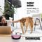 Show in main carousel: Palz&Co ThermoCool Insulated Stainless Steel Dog & Cat Bowl, Pink, 64-oz slide 4 of 9