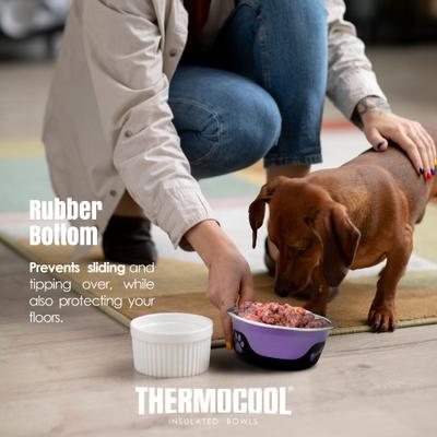 Show full view: Palz&Co ThermoCool Insulated Stainless Steel Dog & Cat Bowl, Purple, 32-oz slide 3 of 8