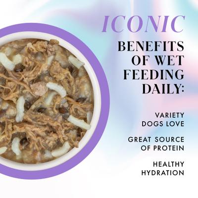 Show full view: Pamper Like Paris Non-GMO Beef & Rice Dinner Shredded Wet Dog Food, 2.75-oz cup, case of 10 slide 4 of 11