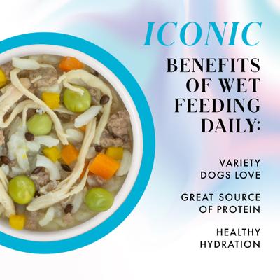 Show full view: Pamper Like Paris Non-GMO Chicken Dinner with Rice & Pumpkin Shredded Wet Dog Food, 2.75-oz cup, case of 10 slide 4 of 11